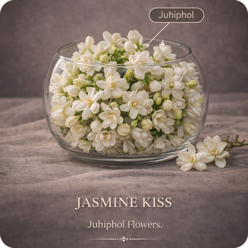 Jasmine Kiss